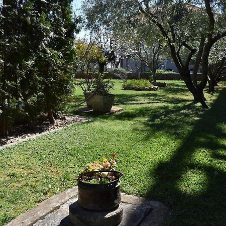 Apartman Dodo Zadar Luaran gambar